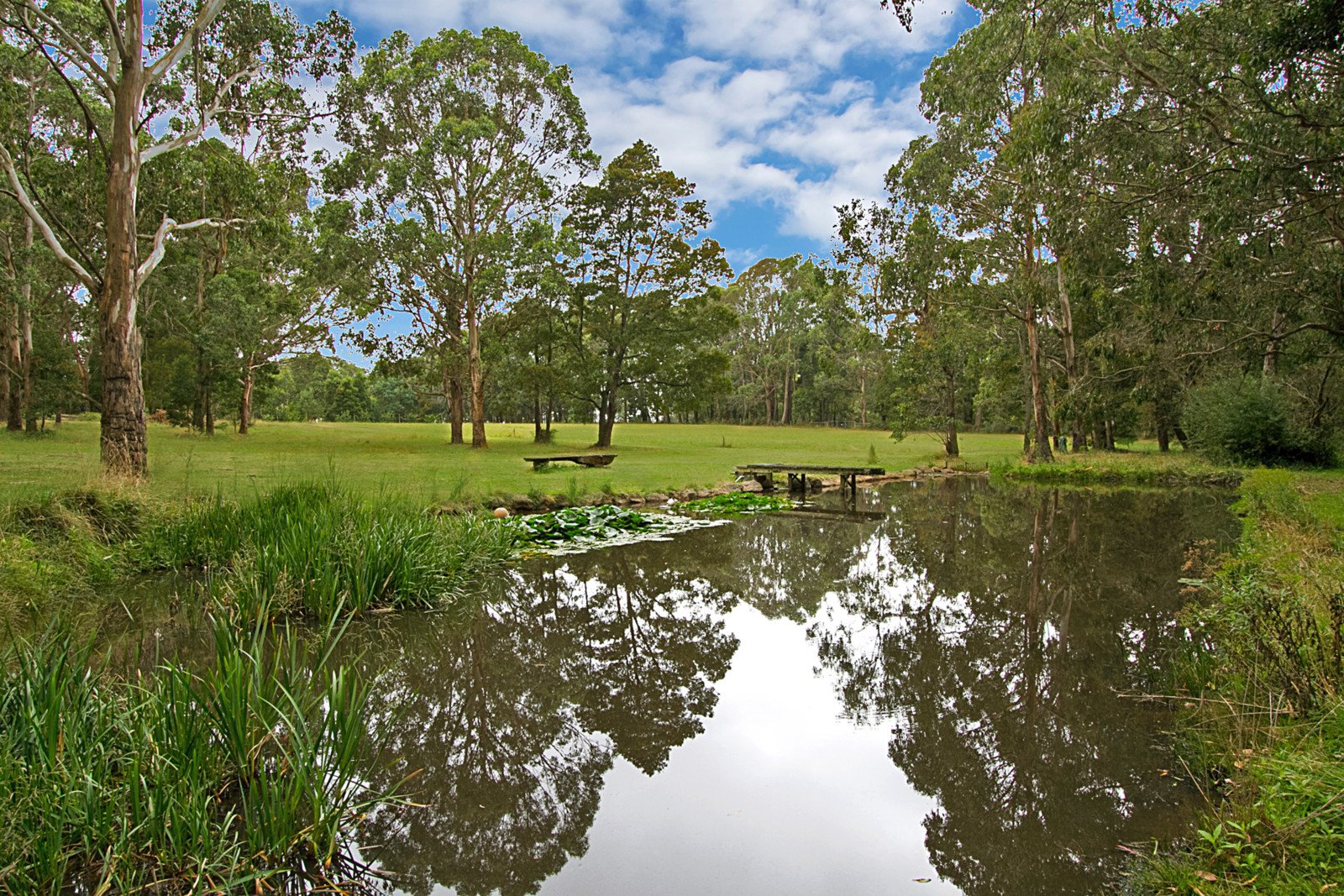 620 Pearsons Road, Trentham image 4