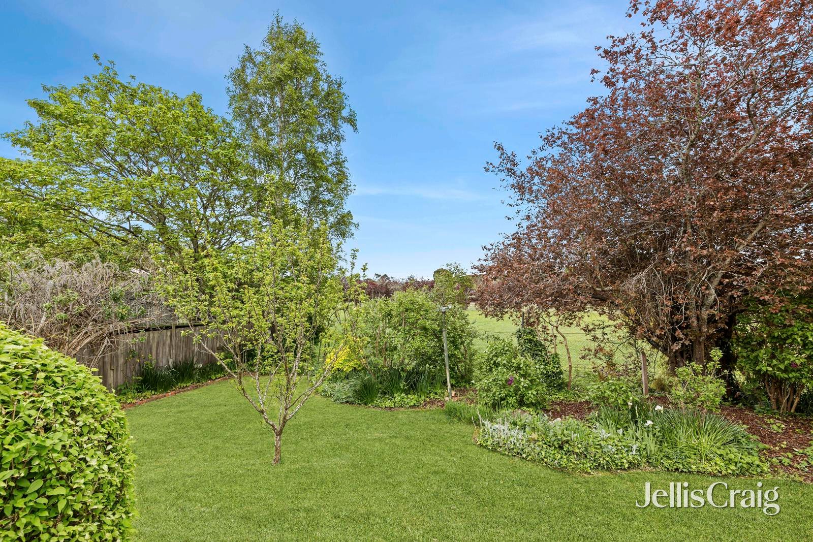 63 Albert Street, Daylesford image 15