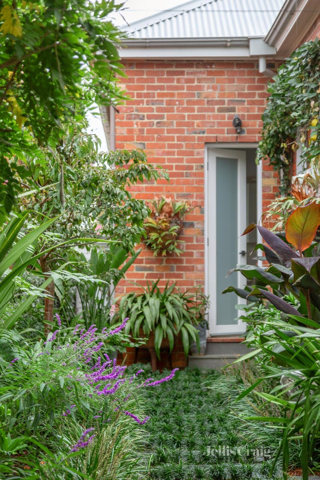 63 Barton Street, Surrey Hills image 10