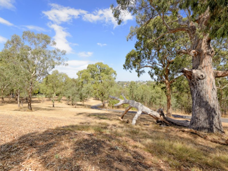 63 Porter Street, Templestowe image 7
