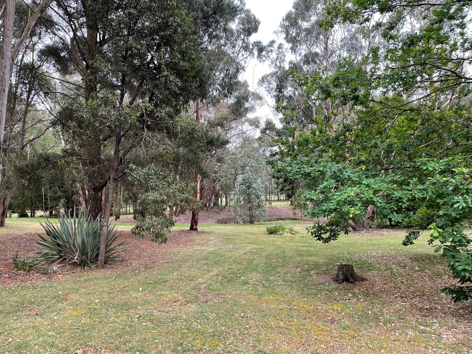 63 Strathclyde Crescent, Woodend image 5