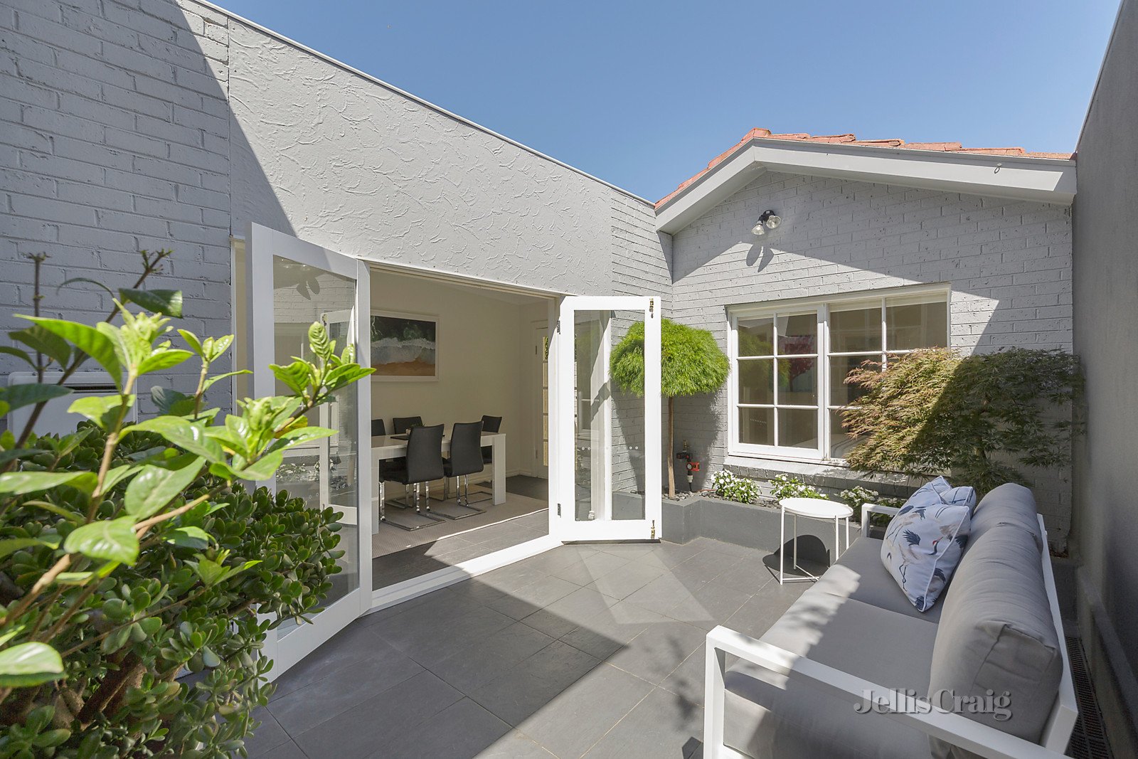 63 Williams Road, Prahran image 4