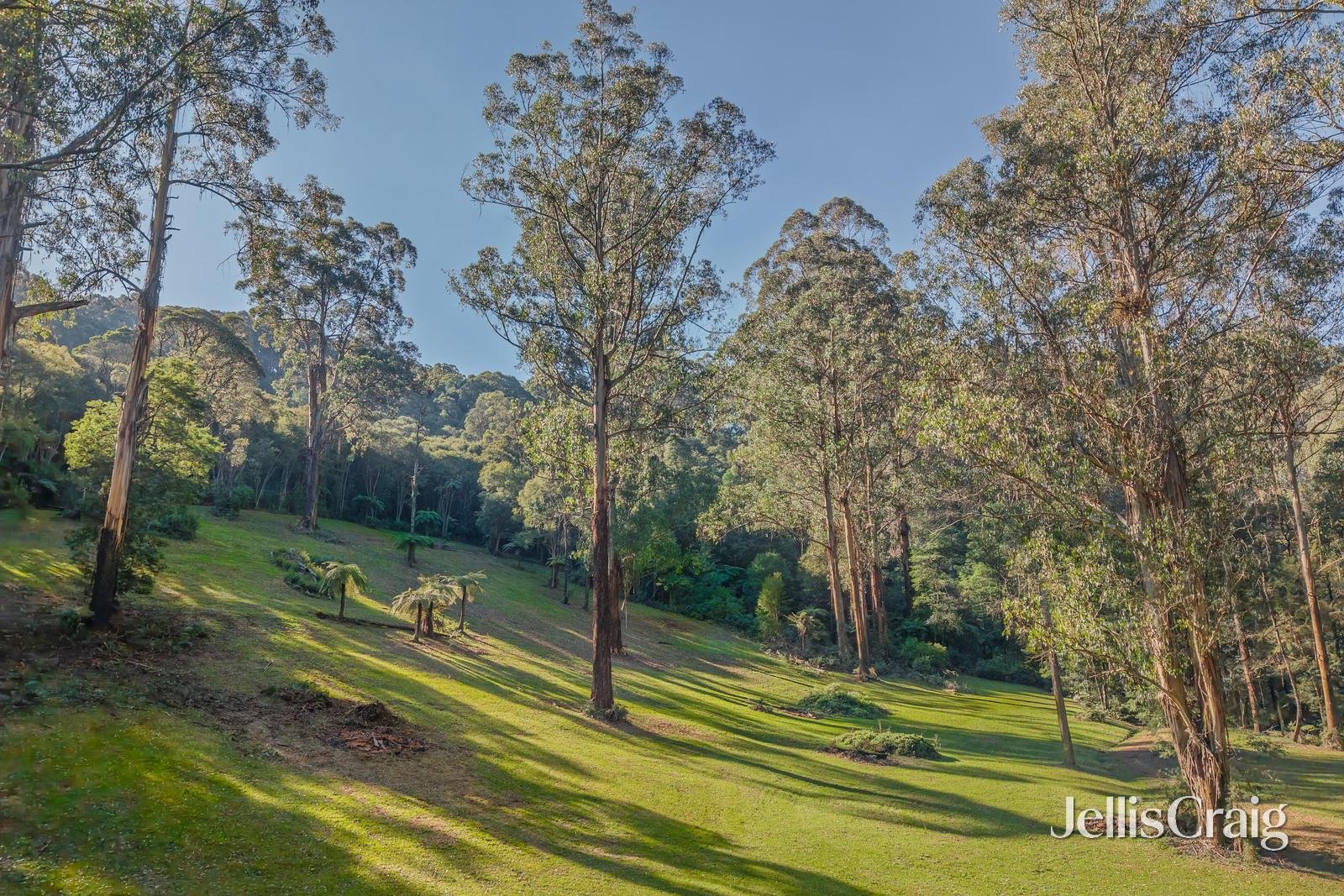630 Thonemans Road, Hoddles&nbsp;Creek image 1