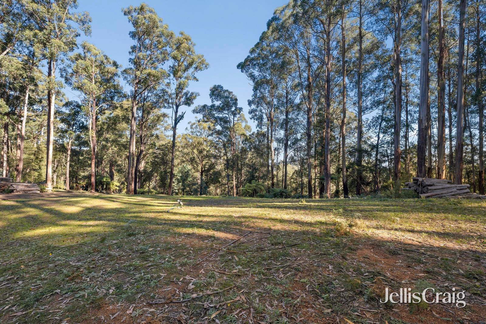 630 Thonemans Road, Hoddles&nbsp;Creek image 3