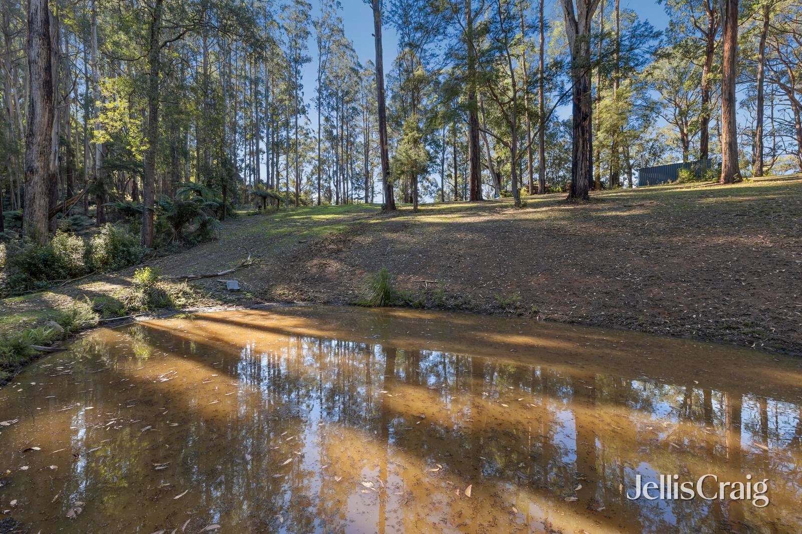630 Thonemans Road, Hoddles&nbsp;Creek image 6