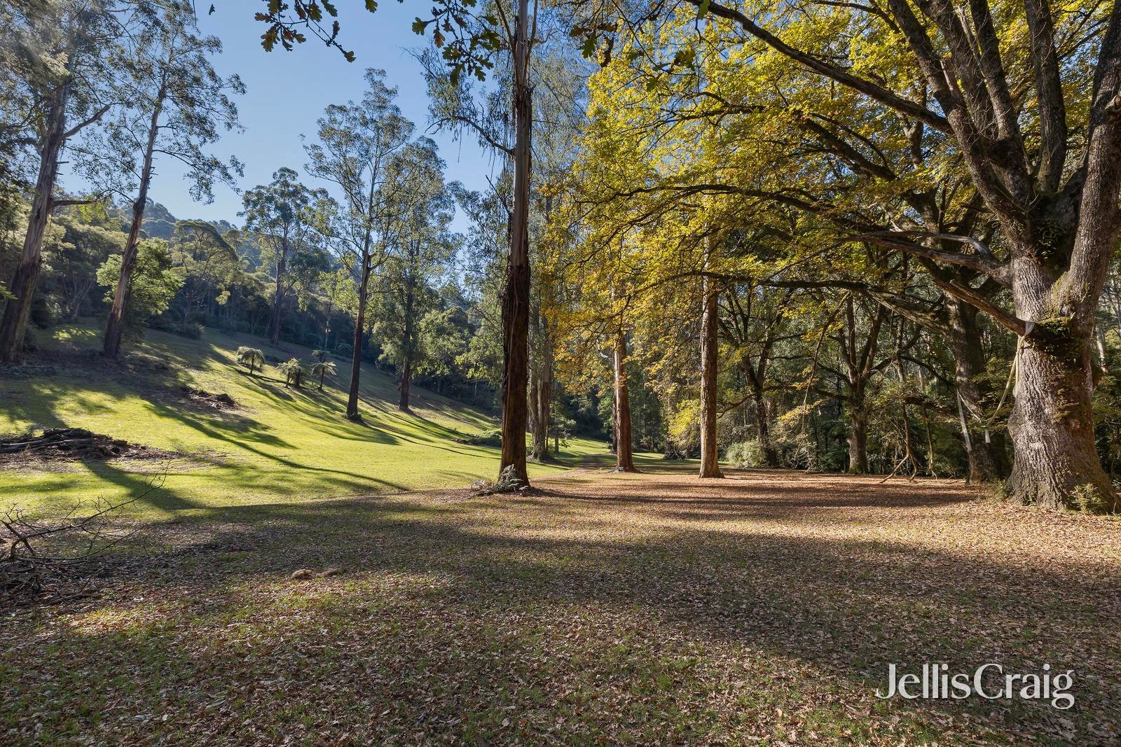 630 Thonemans Road, Hoddles&nbsp;Creek image 8