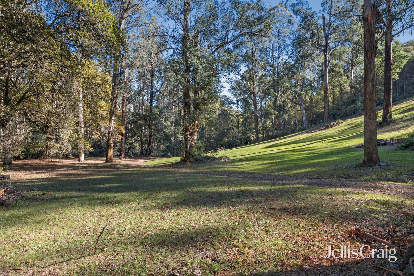 630 Thonemans Road, Hoddles&nbsp;Creek image 9