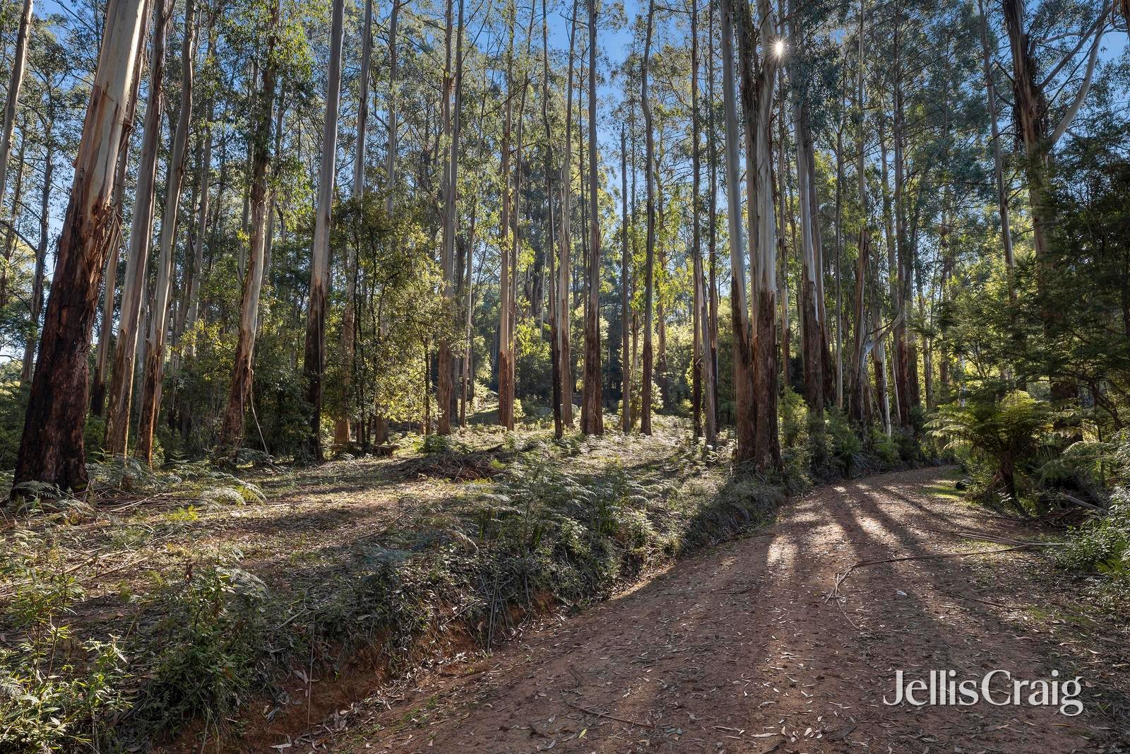 630 Thonemans Road, Hoddles&nbsp;Creek image 10