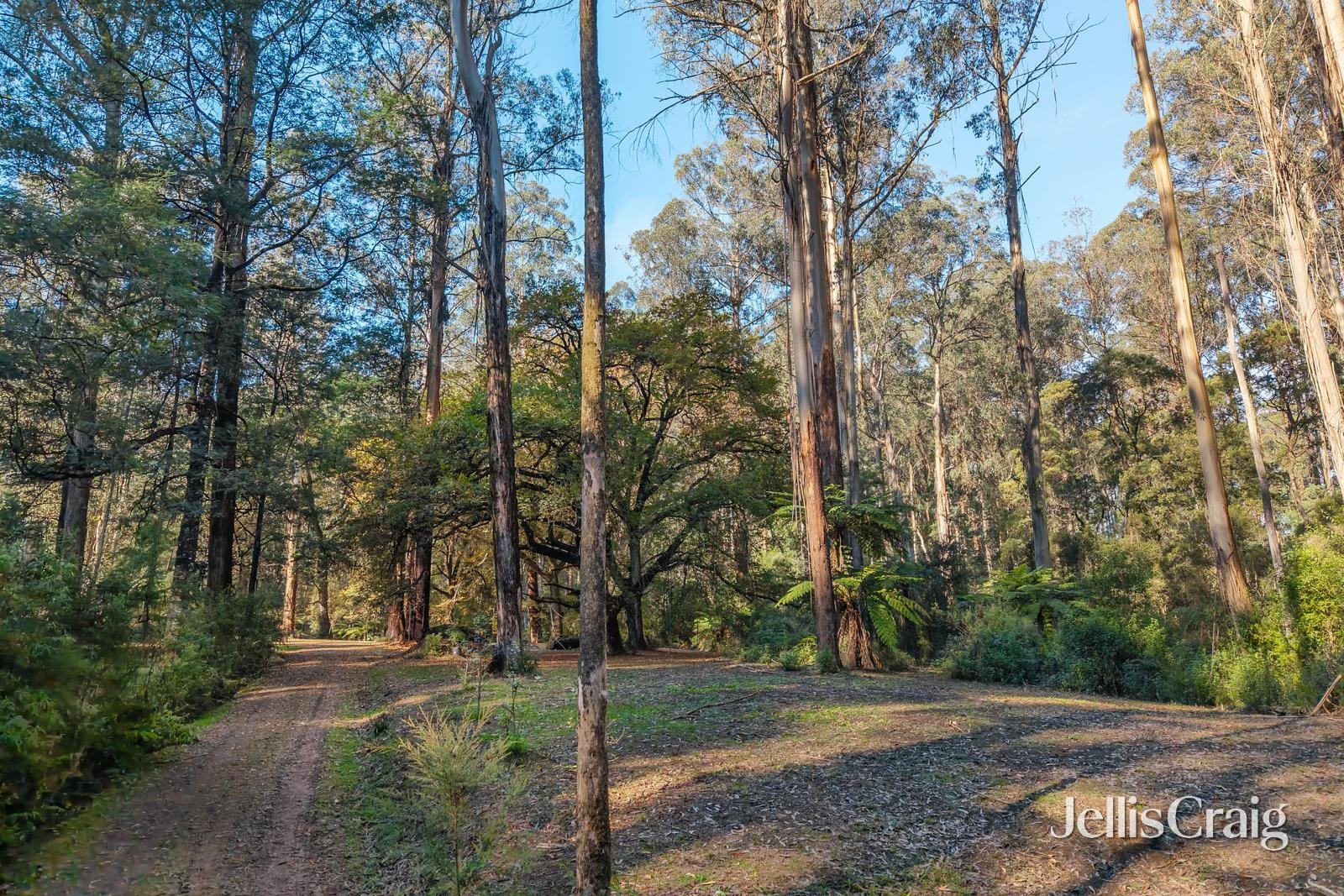 630 Thonemans Road, Hoddles&nbsp;Creek image 11