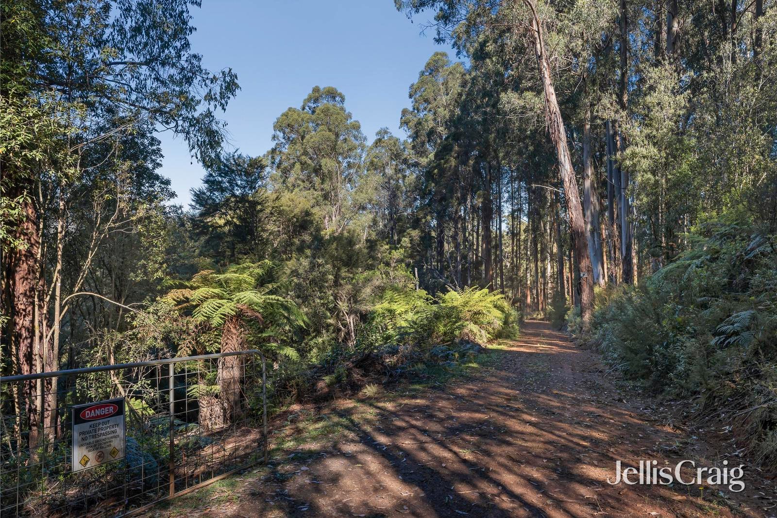 630 Thonemans Road, Hoddles&nbsp;Creek image 12