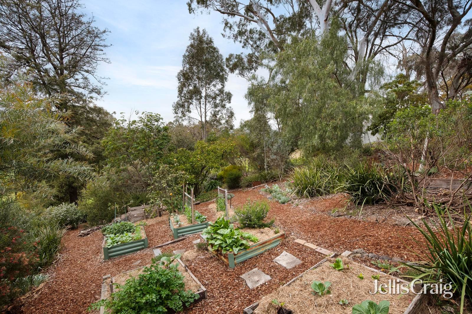 64 Lucerne Crescent, Alphington image 19