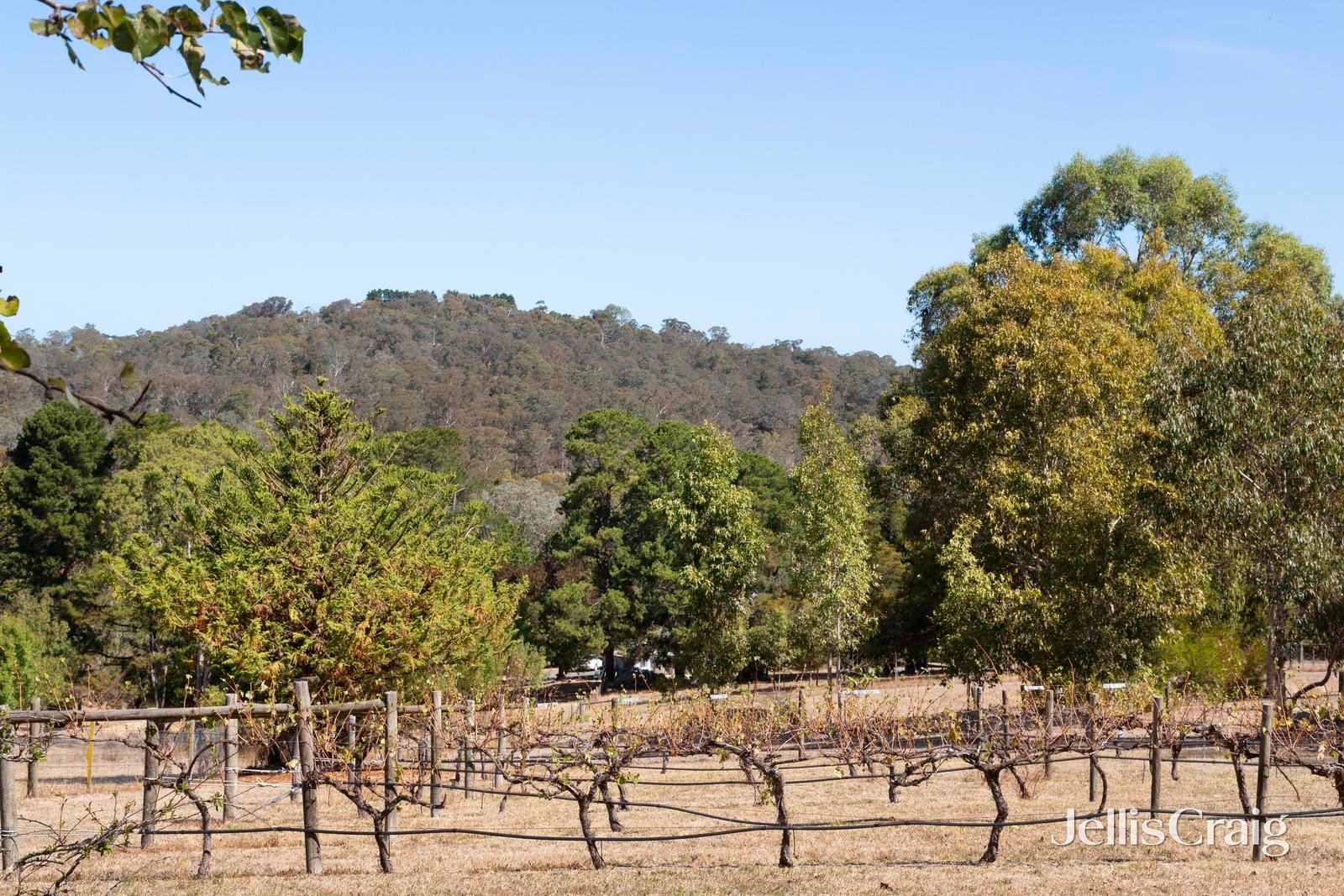 64 Research-Warrandyte Road, Research image 16