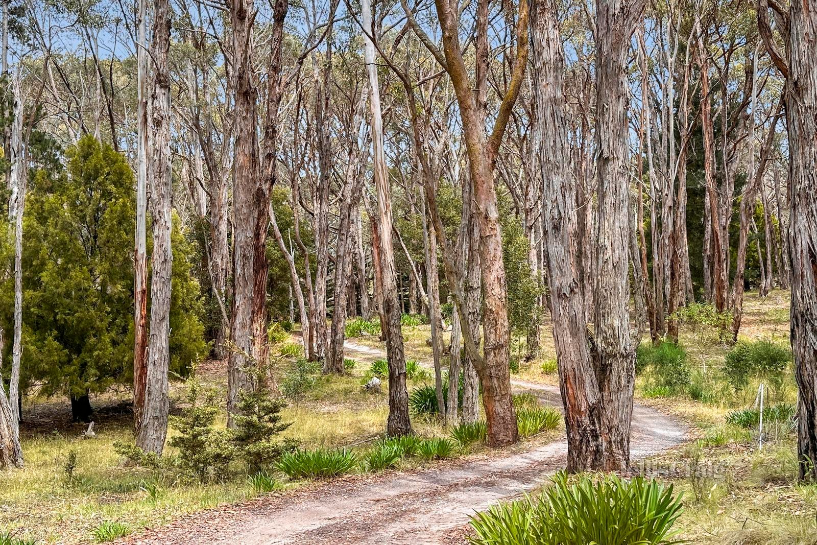 64 Rowan Drive, Macedon image 7