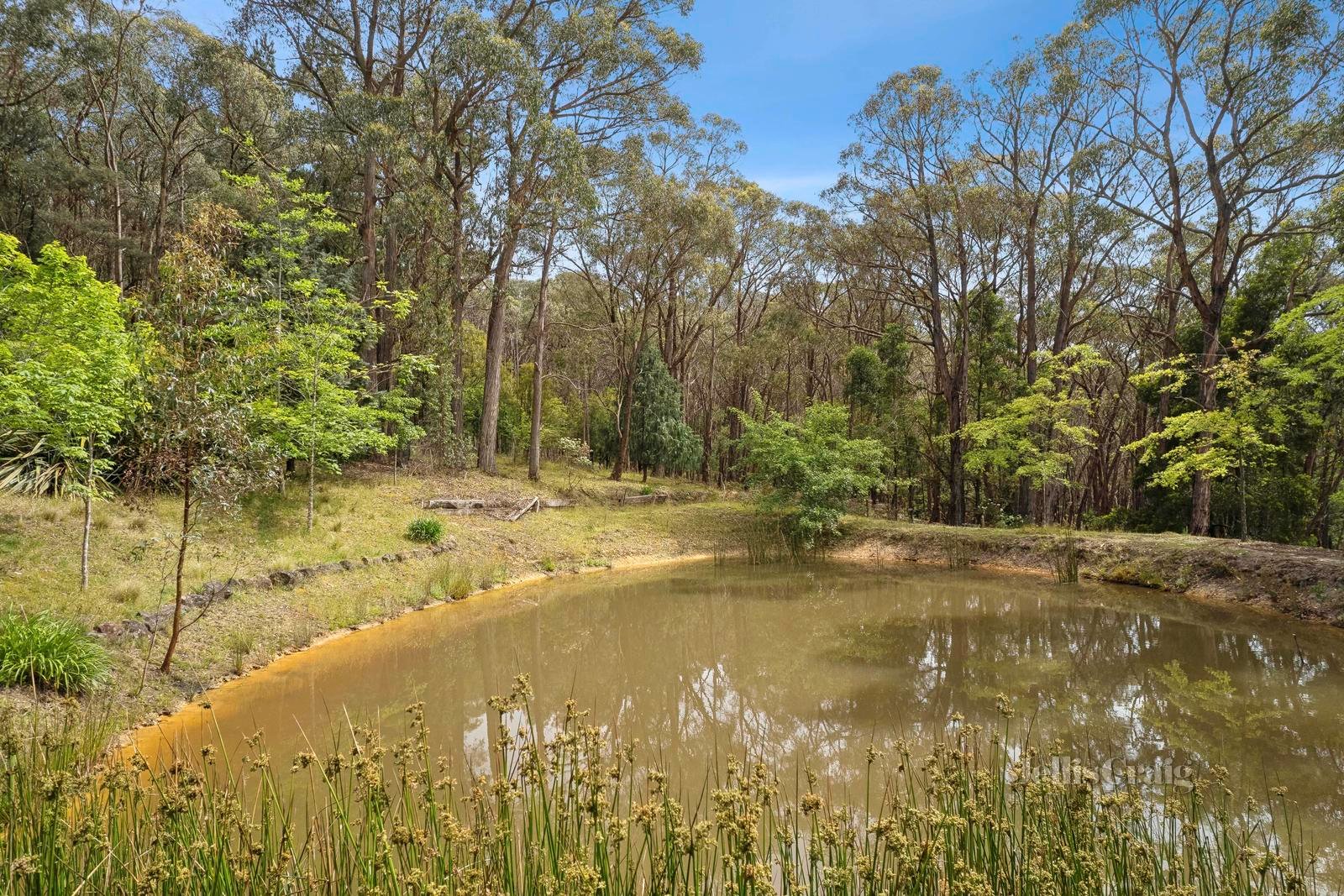 64 Rowan Drive, Macedon image 8