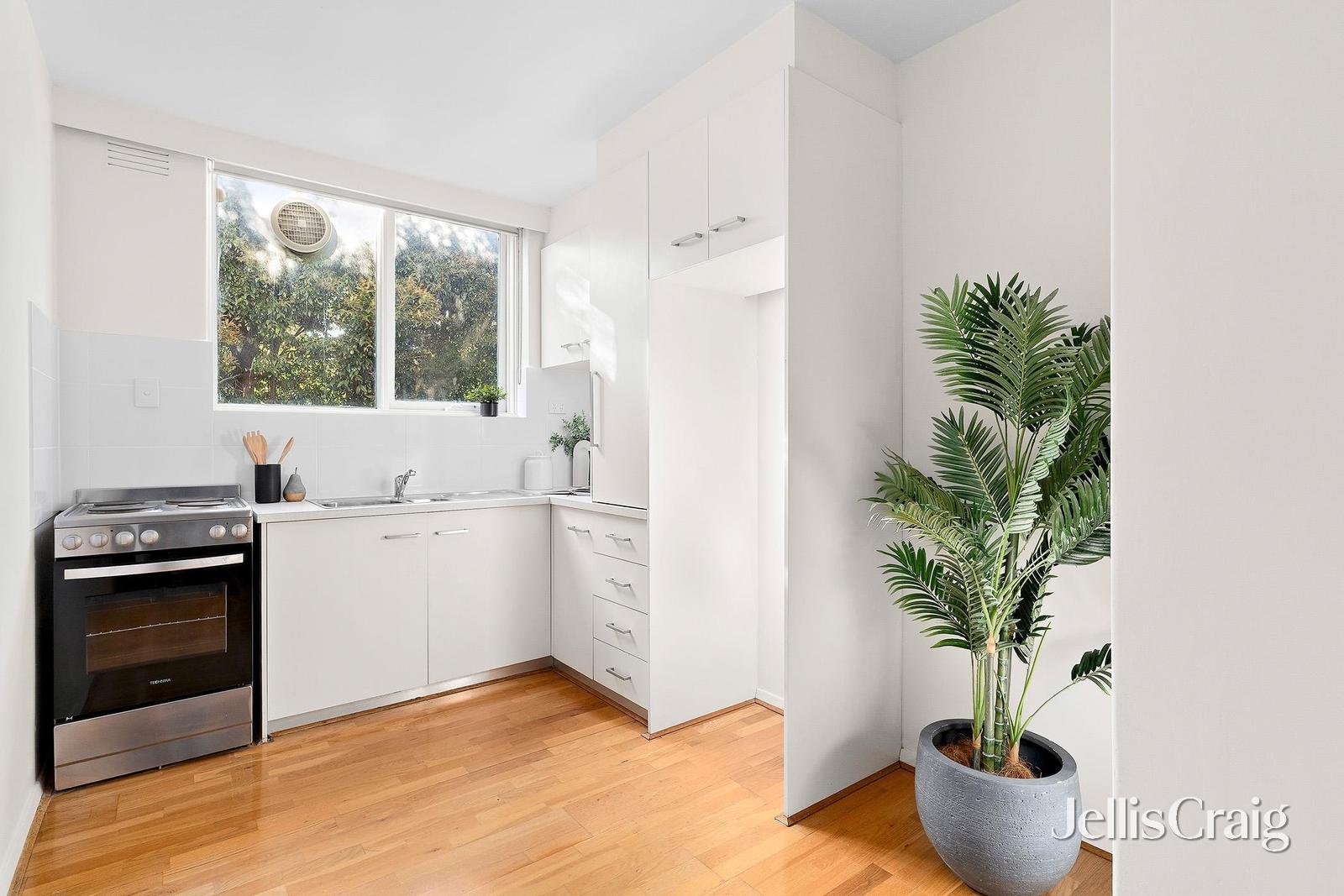 6/42 The Parade, Ascot Vale image 4