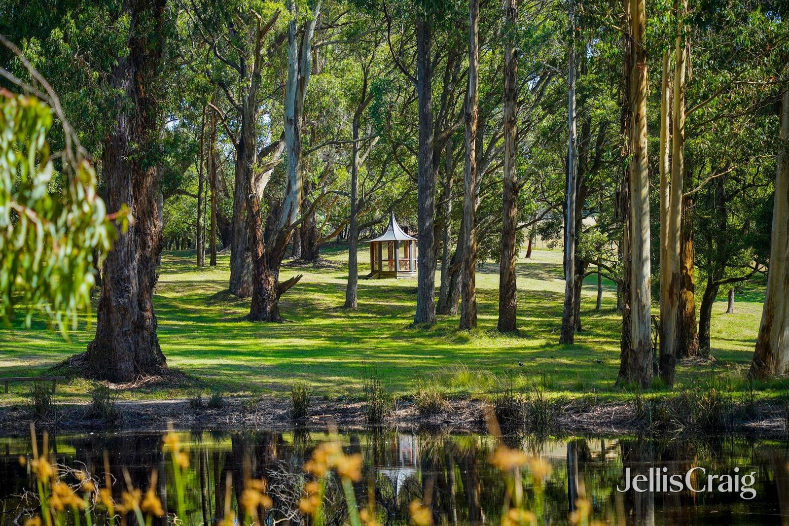 645 Blackwood Road, Trentham image 17