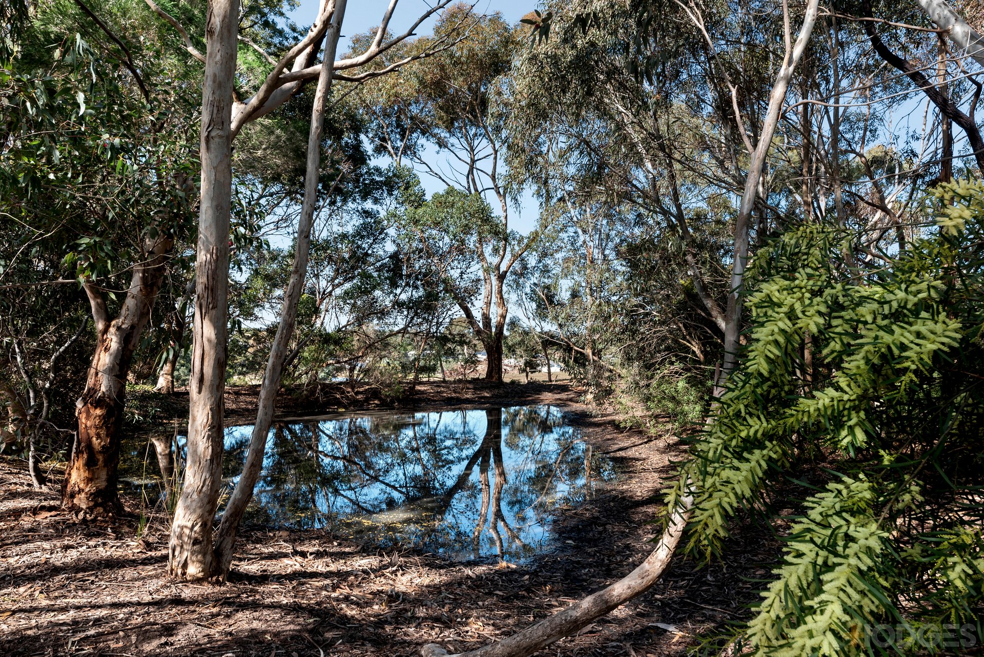 65-67 Belle Vue Drive Ocean Grove