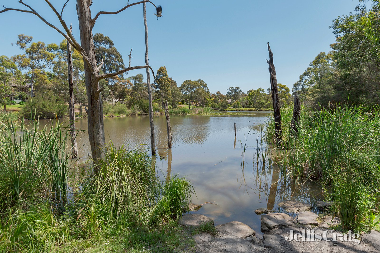 65-67 Eskdale Drive, Croydon Hills image 13