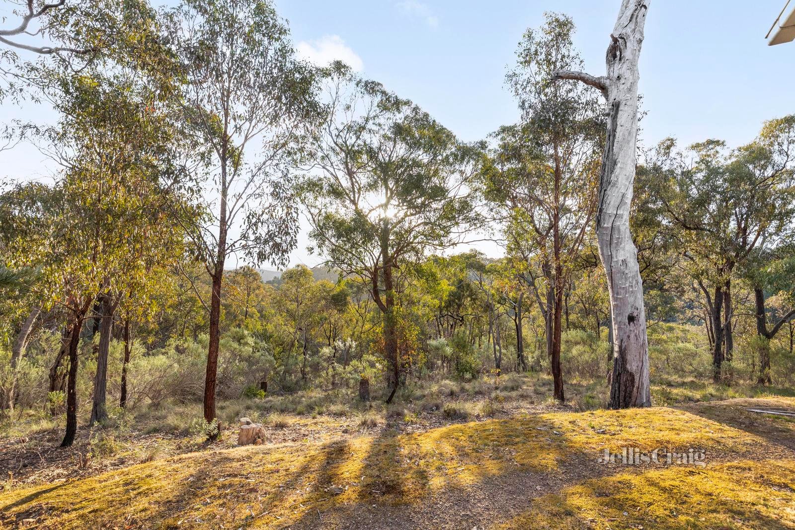 65 Bailey Gully Road, Hurstbridge image 19