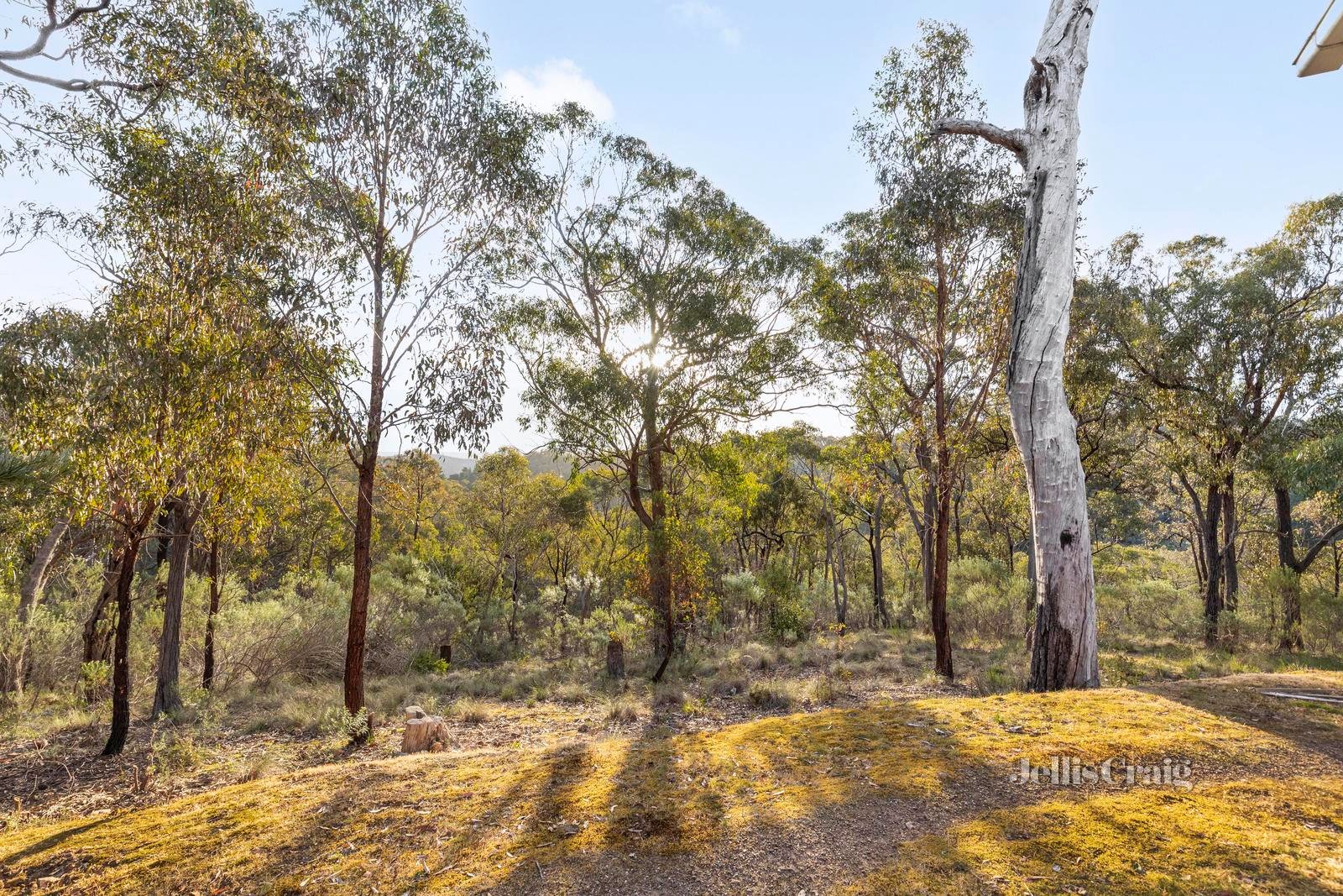 65 Bailey Gully Road, Hurstbridge image 26