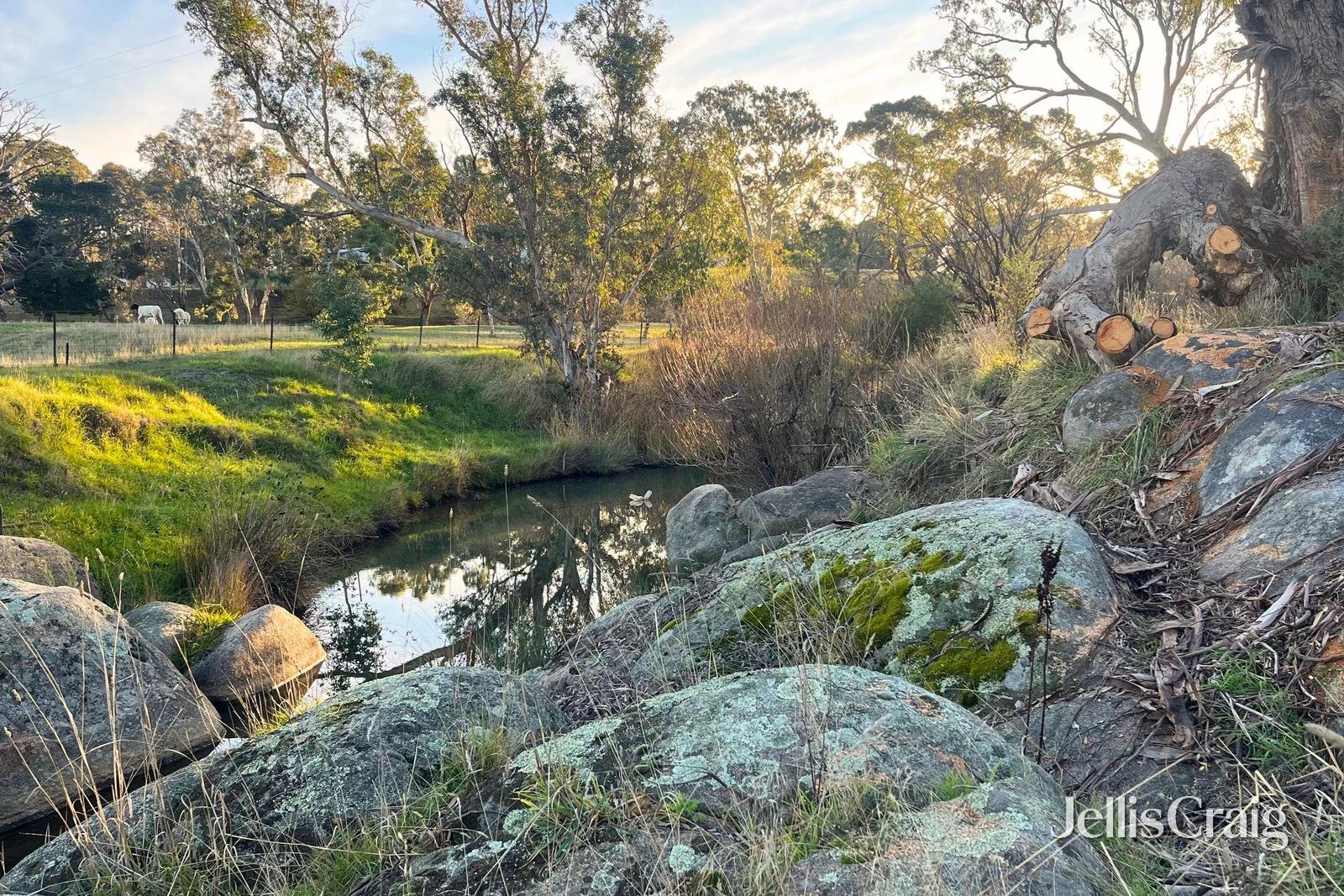 65 Rose Hill Road, Metcalfe image 5