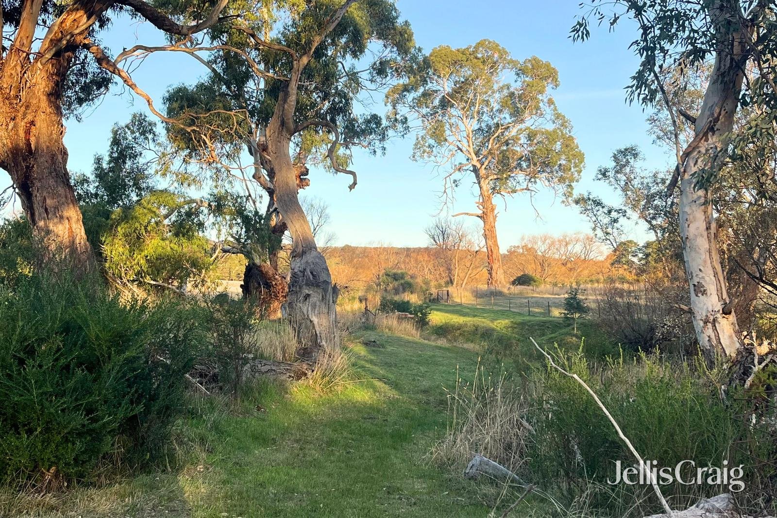 65 Rose Hill Road, Metcalfe image 8