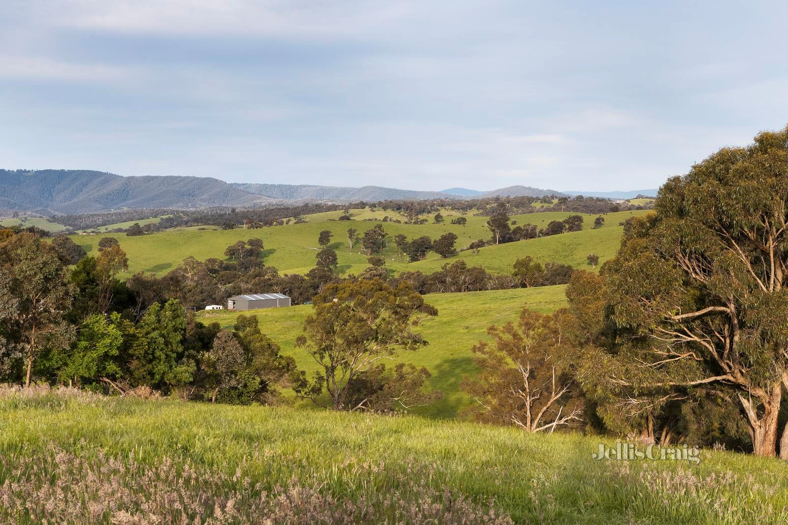 65 Thomas Road, Arthurs Creek image 12