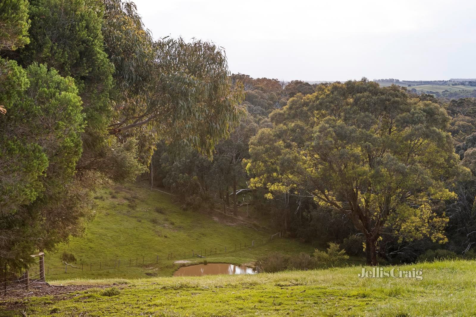 65 Thomas Road, Arthurs Creek image 13