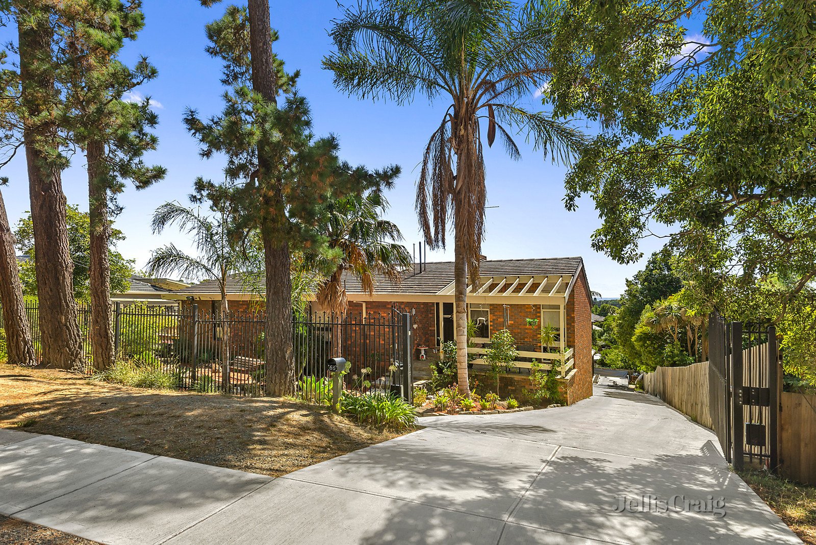 65 Woodhouse Road, Donvale image 2