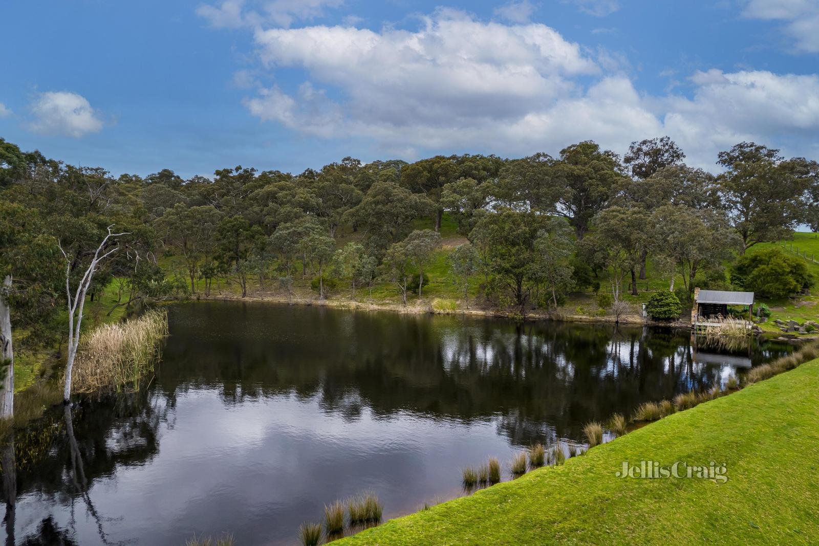 65 Yaralla Road, Panton Hill image 16