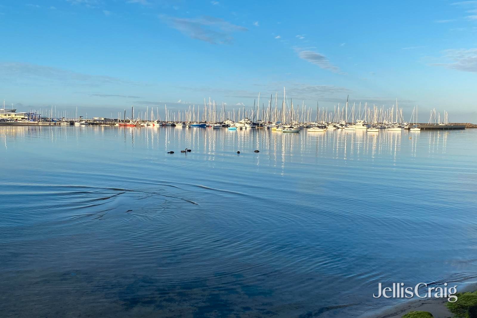 6/56 Beach Road, Hampton image 11