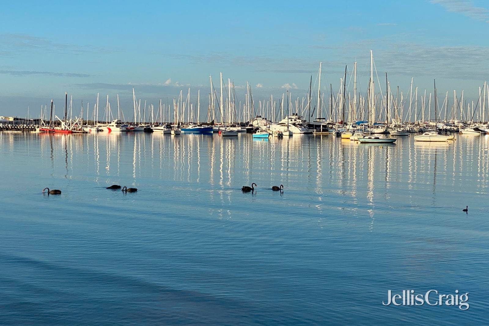 6/56 Beach Road, Hampton image 13