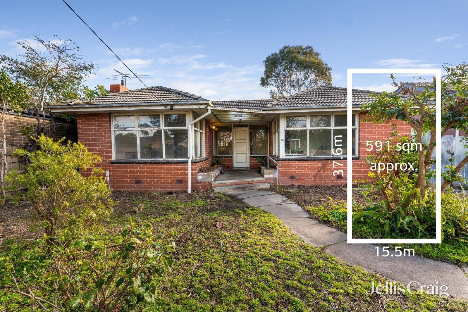 66 Holland Road, Blackburn South image 1