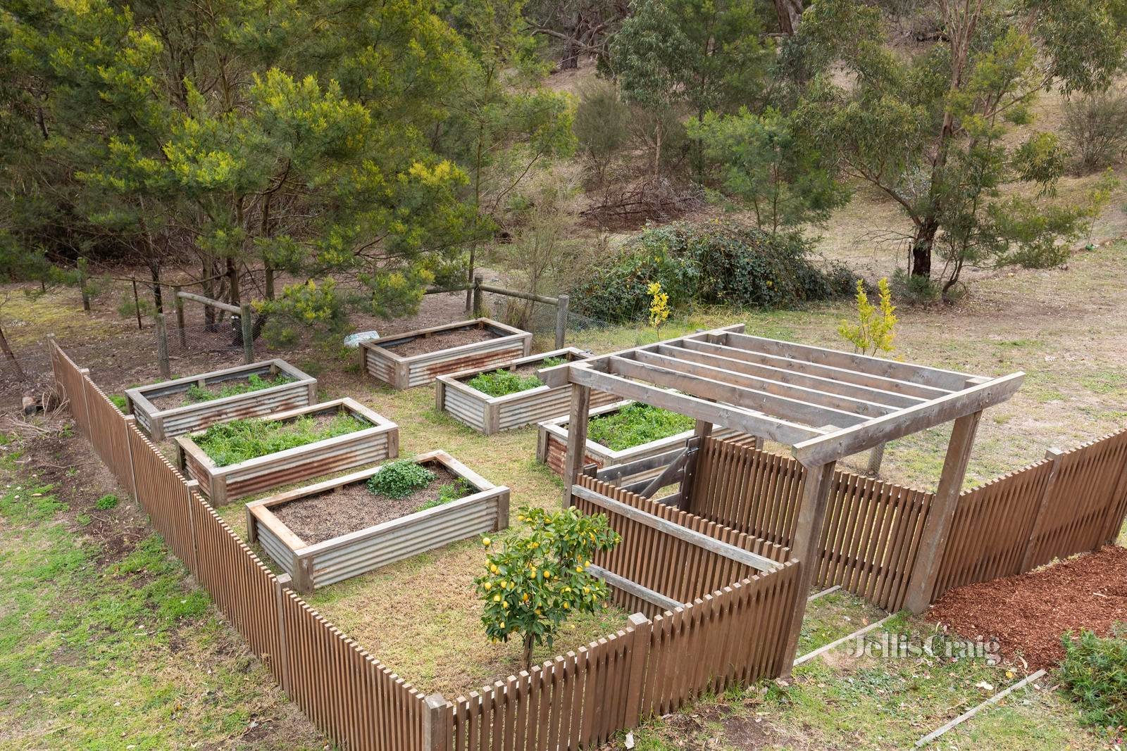667 Kangaroo Ground St Andrews Road, Panton Hill image 22