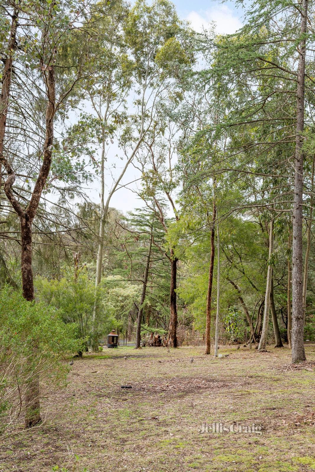 67 Bradleys Lane, North Warrandyte image 14