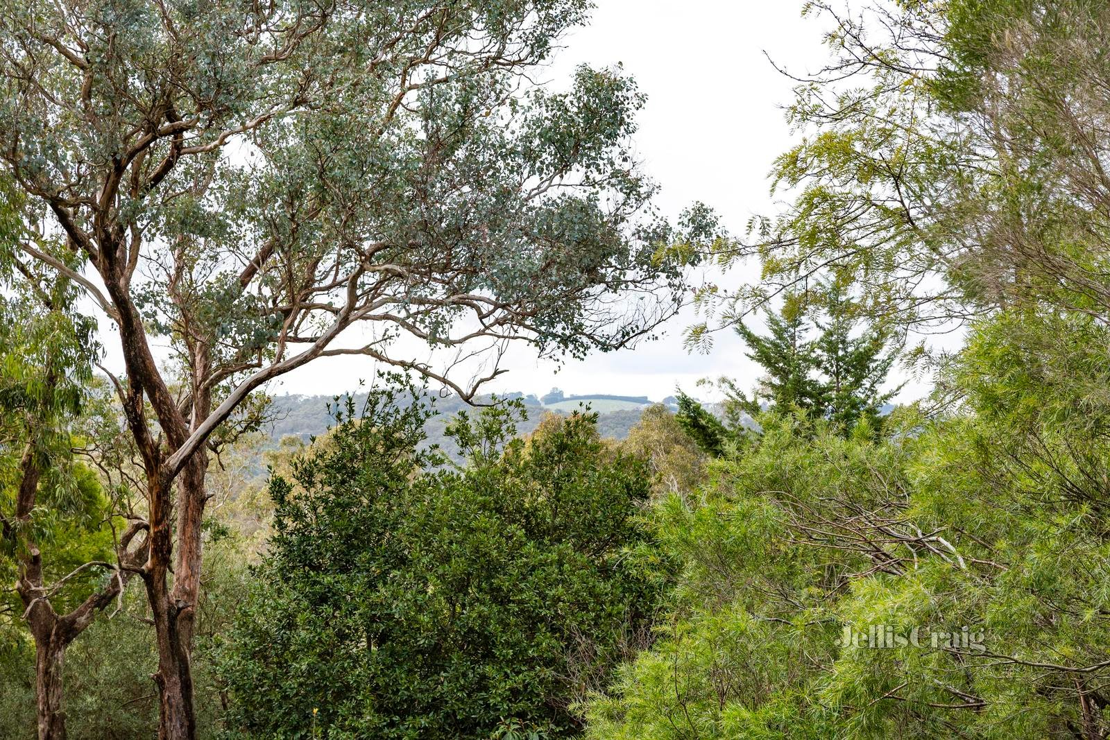 67 Bradleys Lane, North Warrandyte image 18