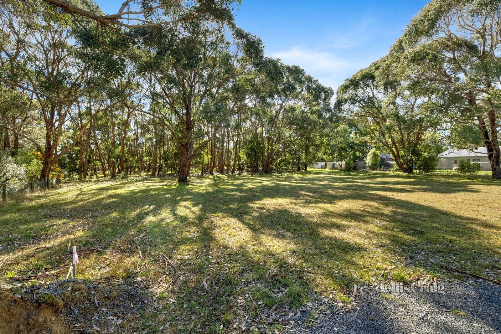 67 Briardale Avenue, Enfield image 3