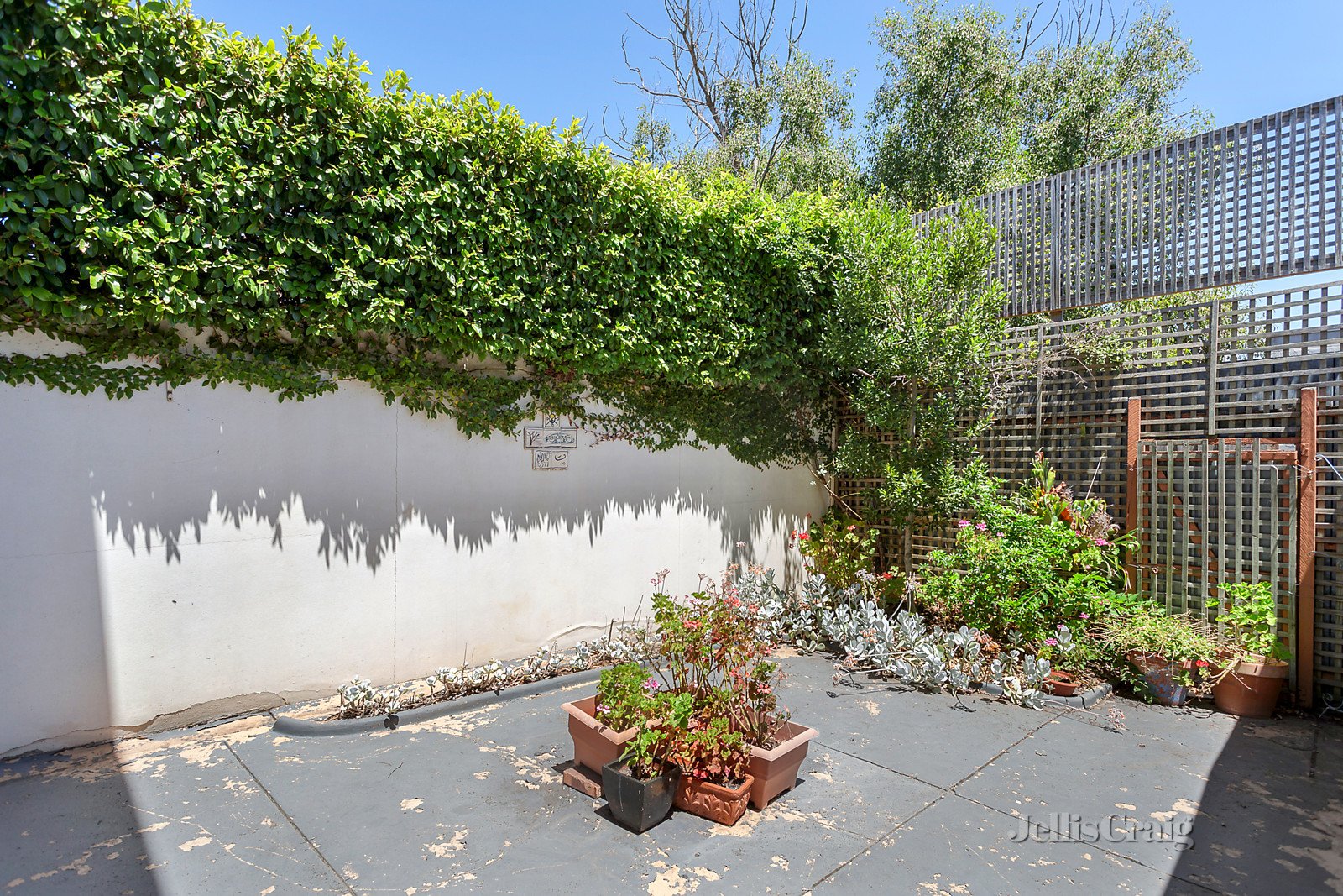 67 Chatsworth Road, Prahran image 6