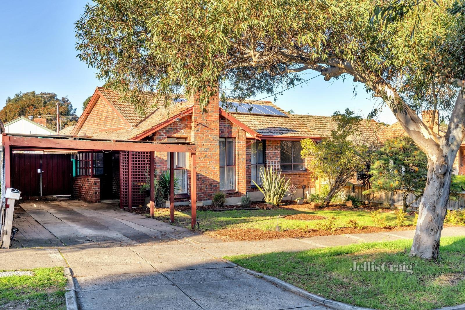 67 Connolly Avenue, Coburg image 3