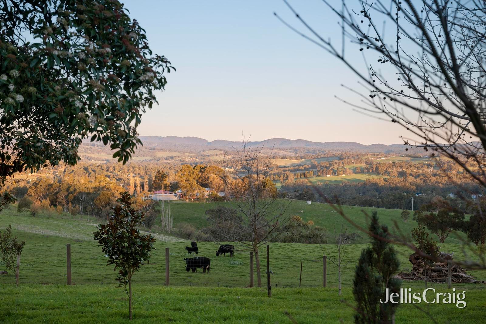 670 Beenak Road, Seville image 30