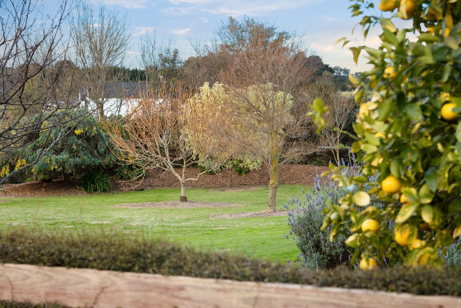 Property Gallery Thumbnail 25