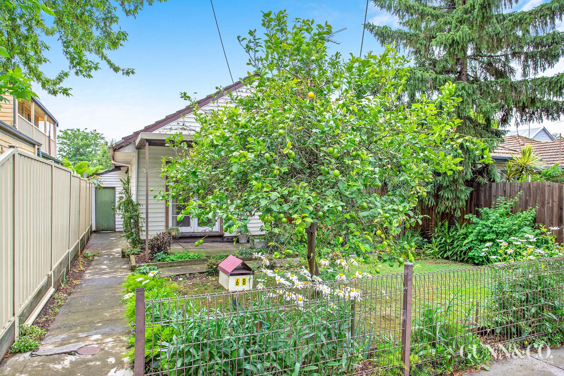 68 Blackshaws Road, South Kingsville image 2