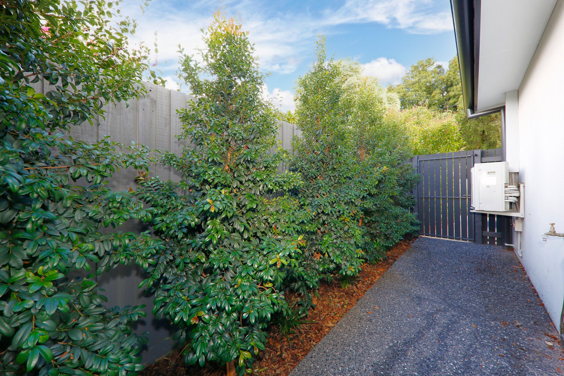 6/8 Grigg Avenue, Vermont image 8