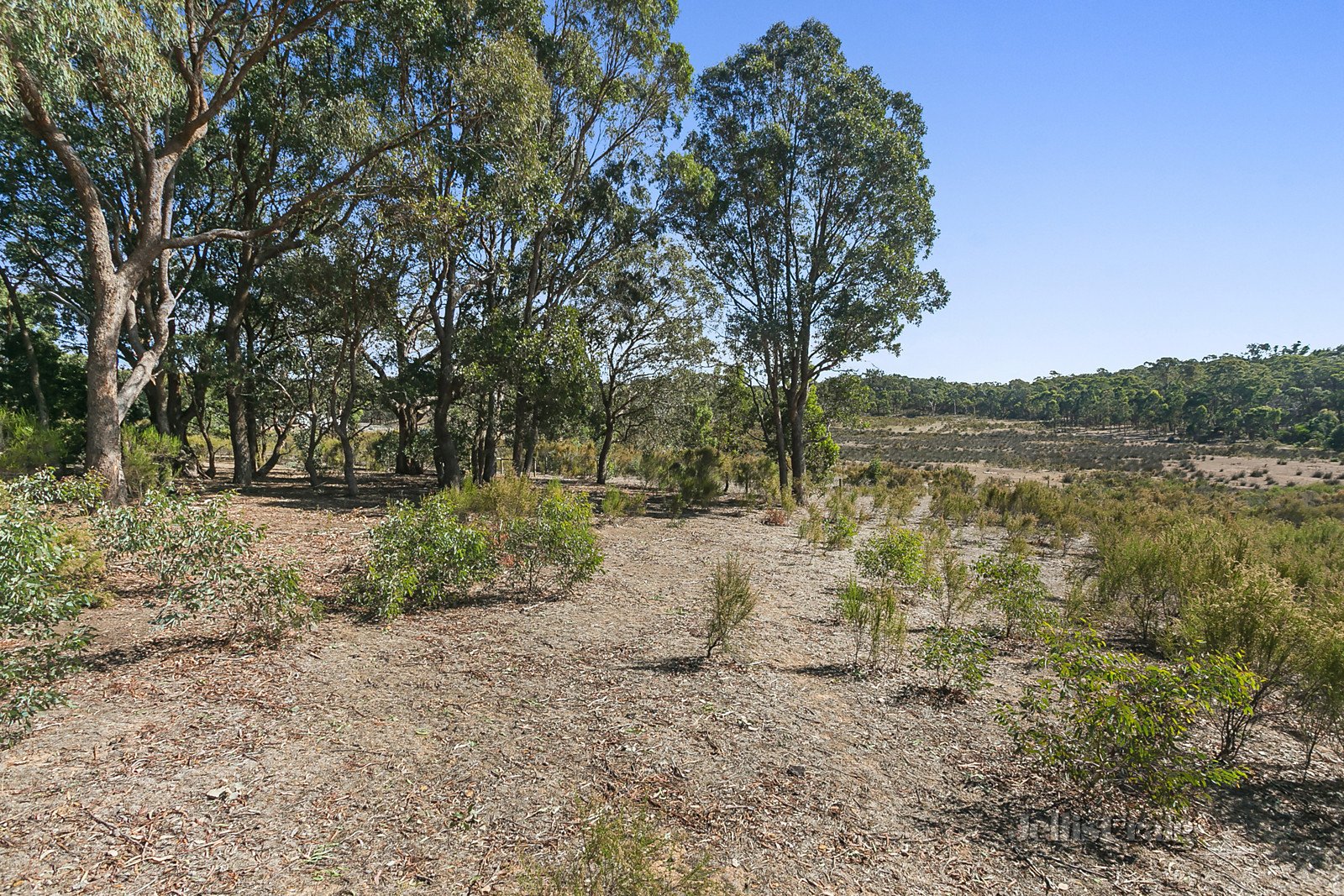 68 Sargeants Road, Taradale, VIC 3447 Land for Sale