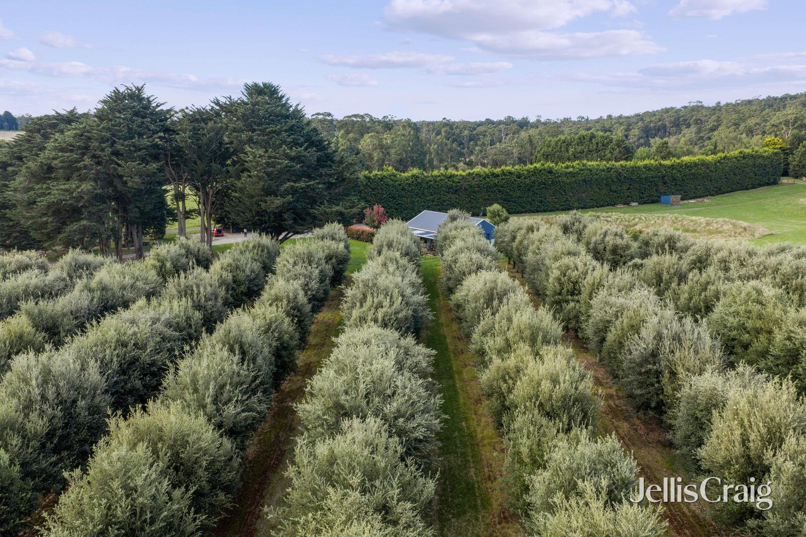 68 Sultana Road, Blakeville image 3