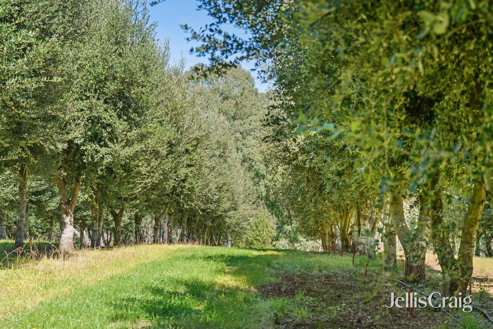 68 Sultana Road, Blakeville image 5