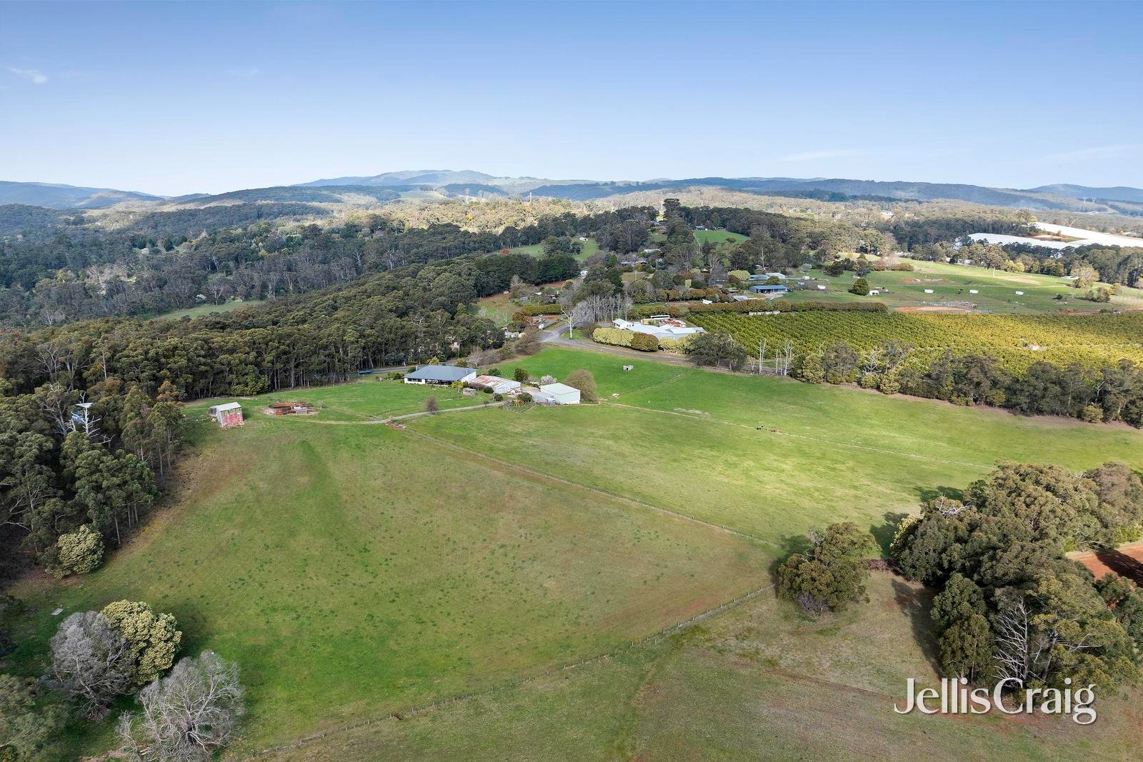 680 Lusatia Park Road, Hoddles Creek image 24