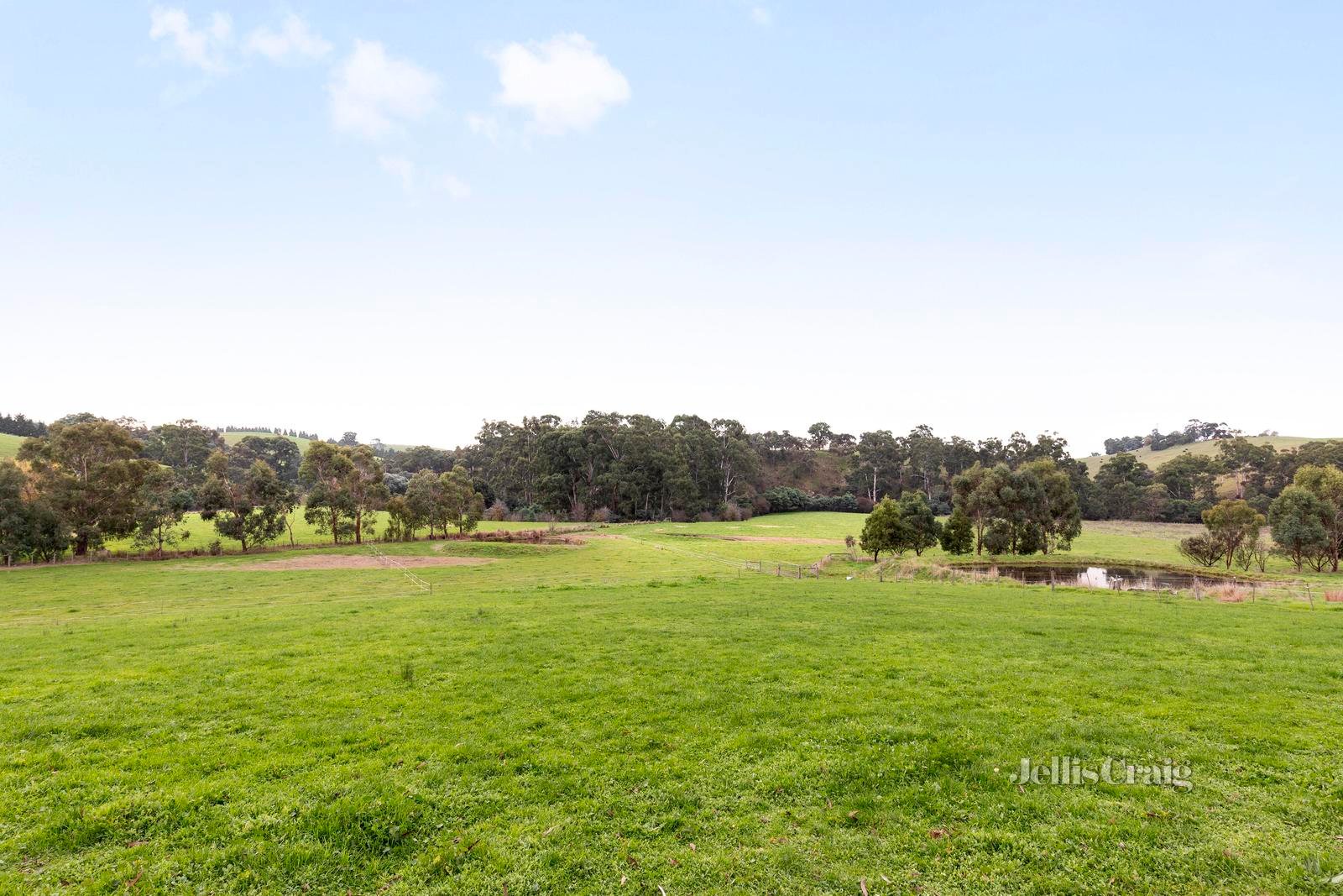 685 Hurstbridge Arthurs Creek Road, Arthurs Creek image 4