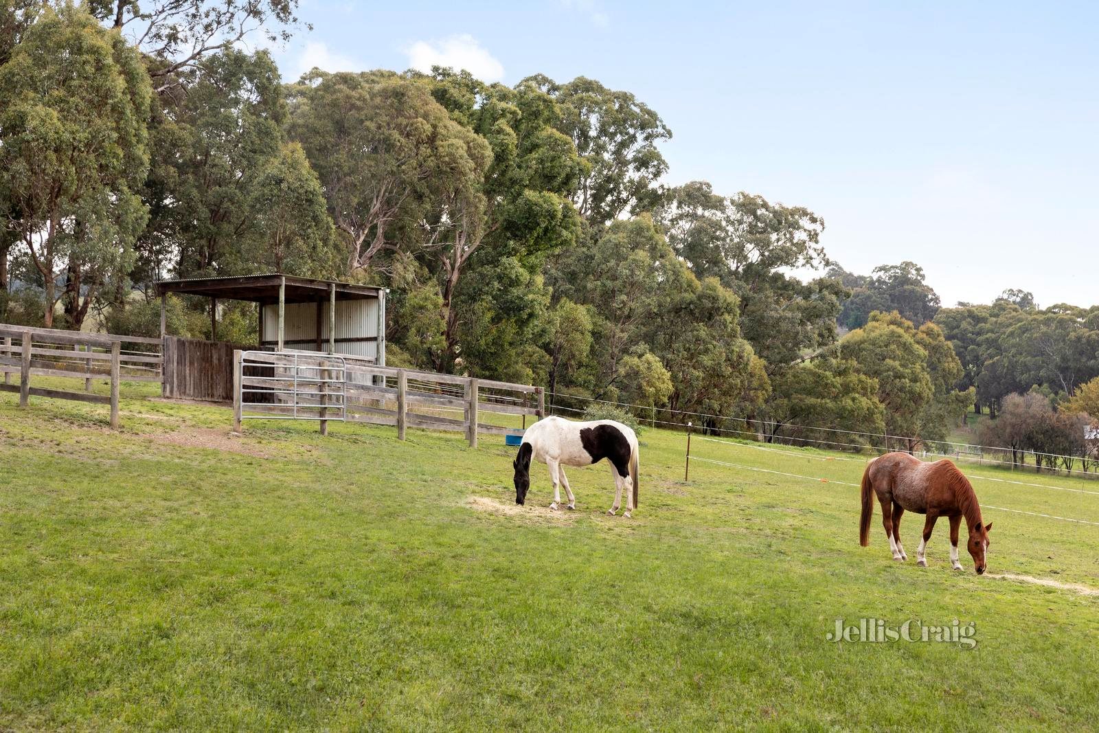 685 Hurstbridge Arthurs Creek Road, Arthurs Creek image 14