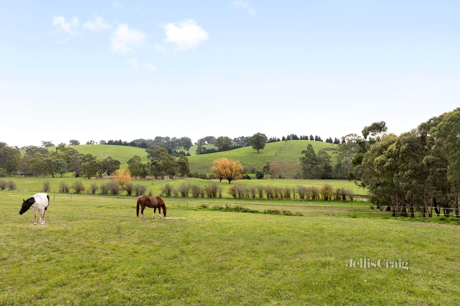 685 Hurstbridge Arthurs Creek Road, Arthurs Creek image 15